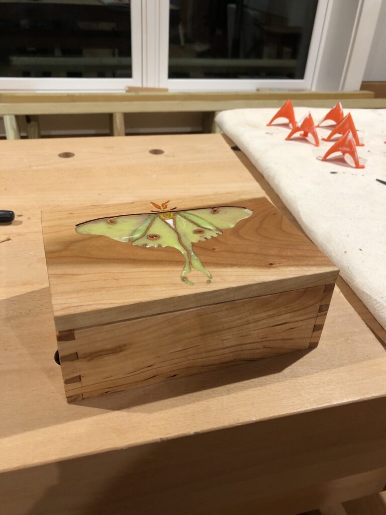 Luna Moth Special Things Box